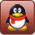 QQ: 605397595