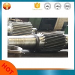 precision machined forged helical gear shaft