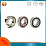 Four Point Contact Ball Bearing